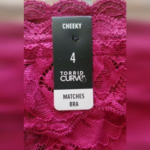 COPY - NWT Torrid Curves Cheeky Panties Size 4